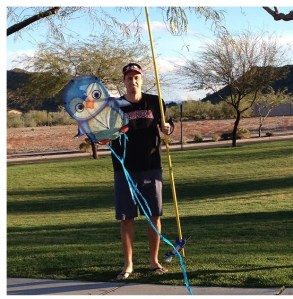 Rescuing a kite is provision