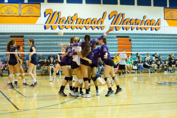 photo cred: Kim Johnson Photography